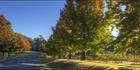 Autumn Drive - VIC (PBH4 00 13239)